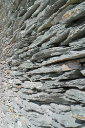 Similar image 8217683