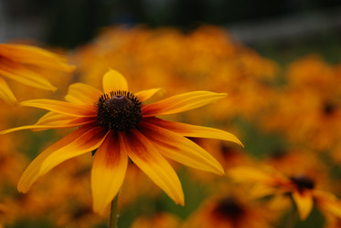 Similar image 8217728