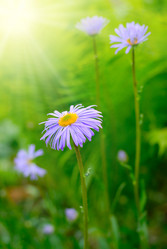 Similar image 8217753