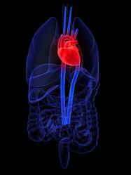 Similar image 8217780