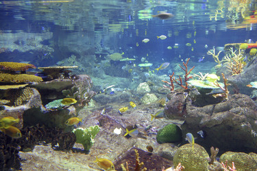 Similar image 8217833