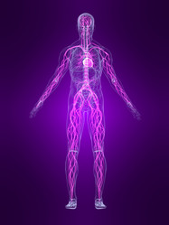 Similar image 8217834