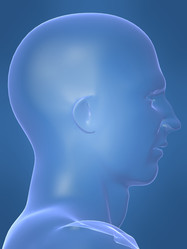 Similar image 8217846