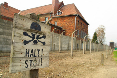 Similar image 8217861