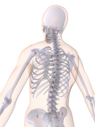 Similar image 8217878