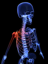 Similar image 8217885