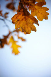 Similar image 8217902