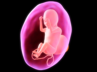 Similar image 8217920