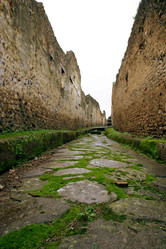 Similar image 8217924