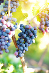 Similar image 8217928