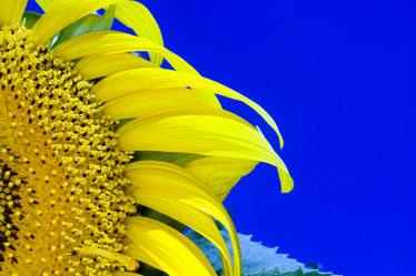 Similar image 8217940