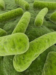 Similar image 8218047