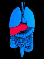 Similar image 8218052