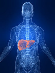 Similar image 8218069