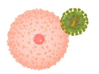 Similar image 8218097