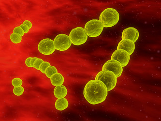 Similar image 8218122