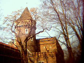 Similar image 8218166