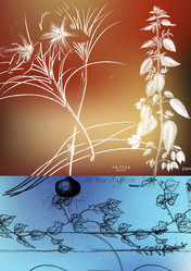 Similar image 8218215