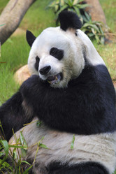 Similar image 8218222