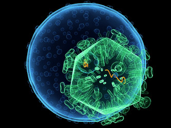 Similar image 8218236