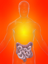 Similar image 8218264