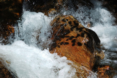 Similar image 8218265