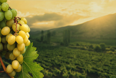 Similar image 8218267