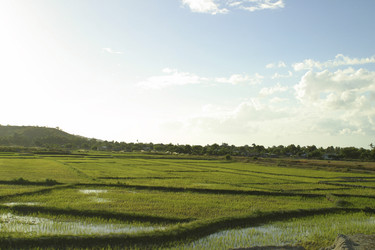 Similar image 8218295