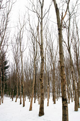 Similar image 8218405