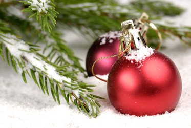 Similar image 8218408