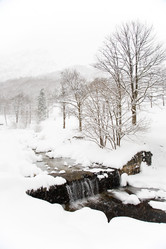 Similar image 8218437