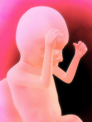 Similar image 8218449