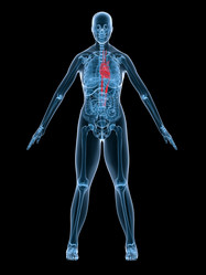 Similar image 8218459