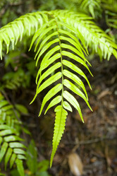 Similar image 8218461