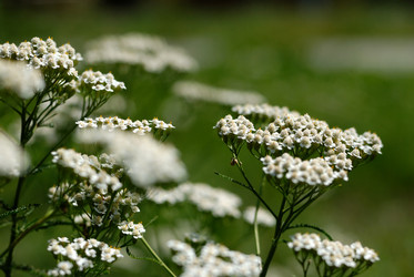 Similar image 8218467