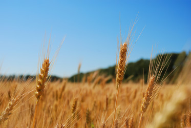 Similar image 8218559