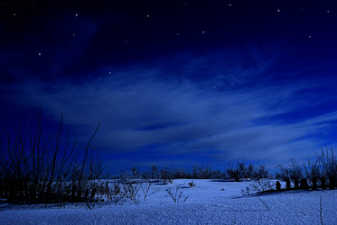 Similar image 8218566