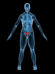 Similar image 8218579