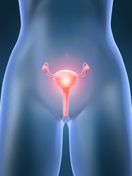 Similar image 8218589