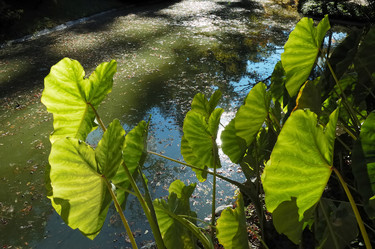 Similar image 8218639