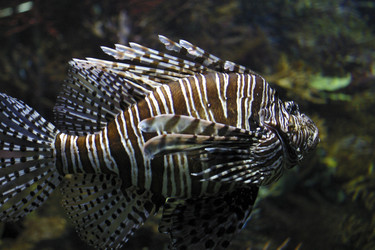 Similar image 8218711