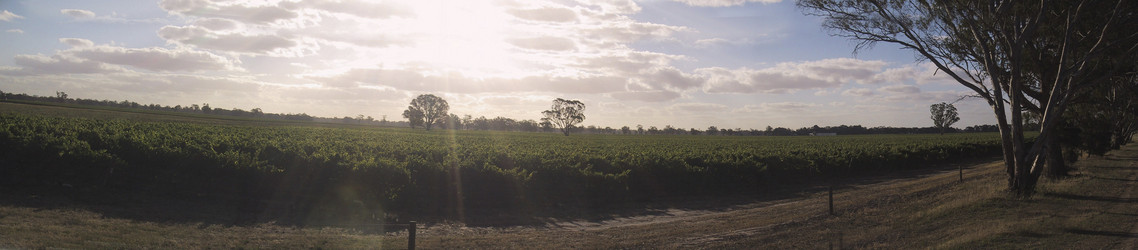 Similar image 8218796