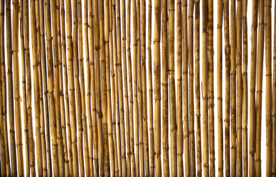 Similar image 8218823