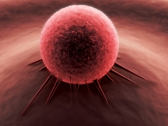 Similar image 8218838