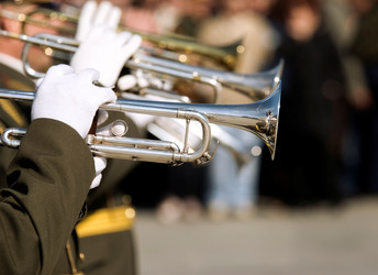 Similar image 8218883