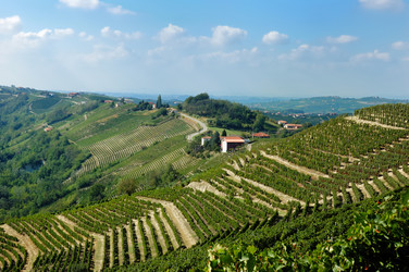 Similar image 8218952