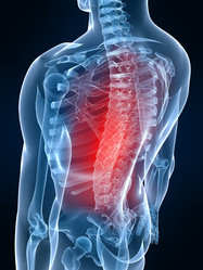 Similar image 8218960