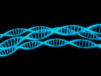 Similar image 8219072