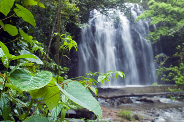 Similar image 8219075