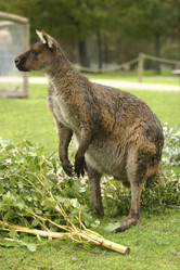 Similar image 8219089